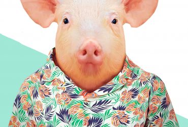 "Mondd, te kit választanál?" – a választási malacok közül