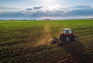 Agrármarketing és agrárkommunikációs tanácsadás